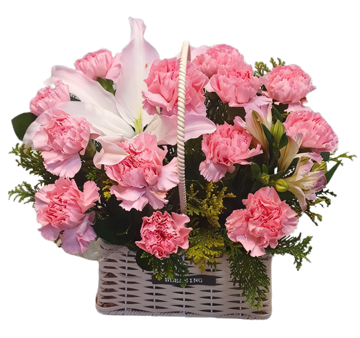 ad7370ff520e71baaf7b26c1137531fa_1777361662_1645.png