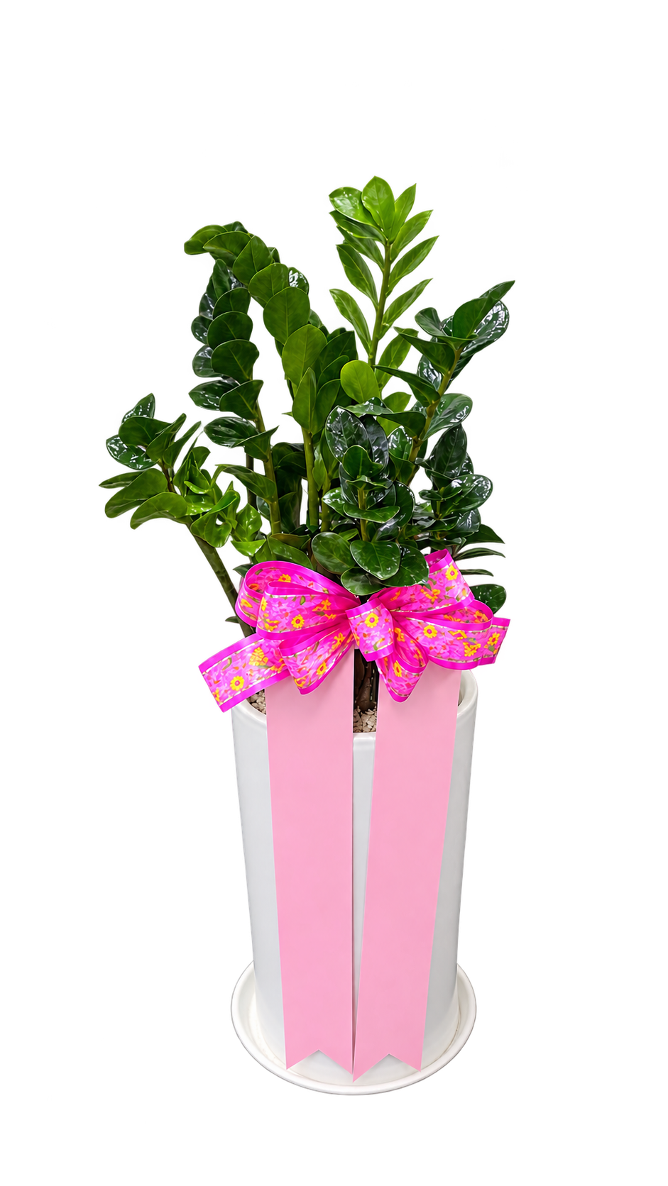 78073aab7e6443bf961c17c472acf546_1788936237_6065.png
