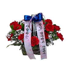 카네이션 바구니
